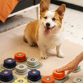 Press to Play Recordable Pet Cue Button: Orange / One button. Supplier reference; check selected variant before publication.