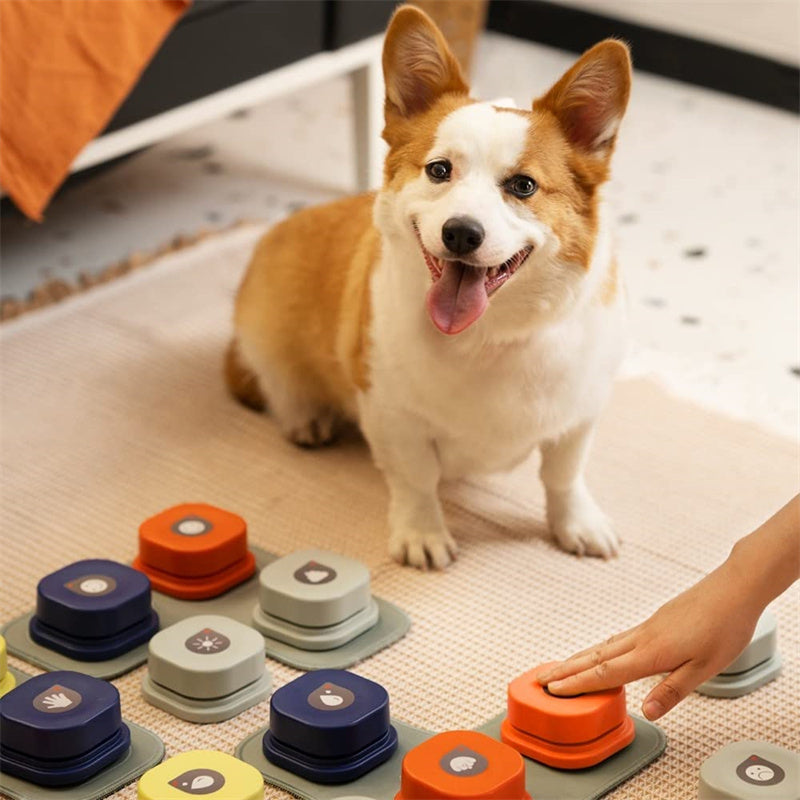 Press to Play Recordable Pet Cue Button: Orange / One button. Supplier reference; check selected variant before publication.